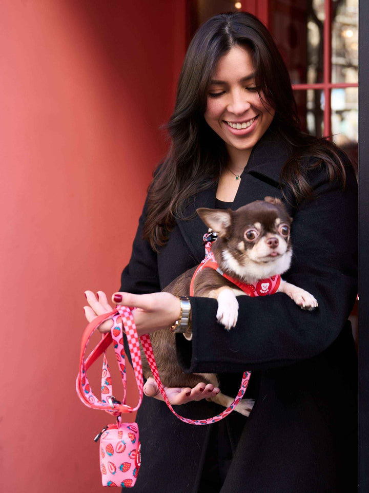 ARNÉS BODY PERRO BERRY LOVE - Dukier