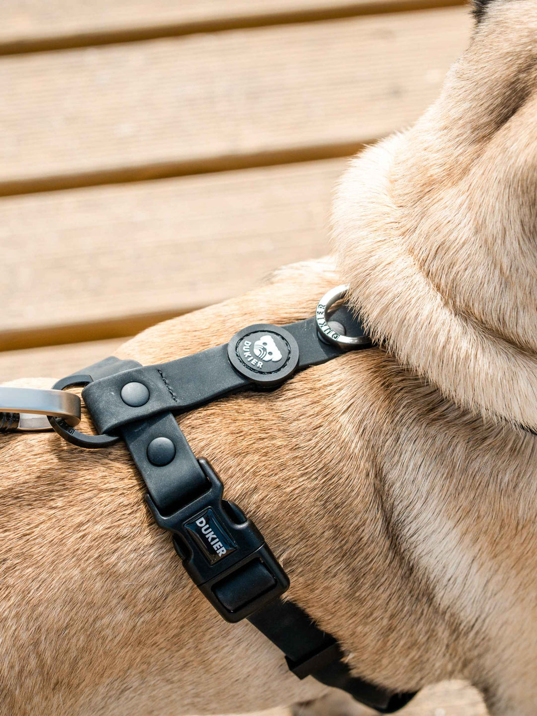 WATERPROOF DOG HARNESS BLACK