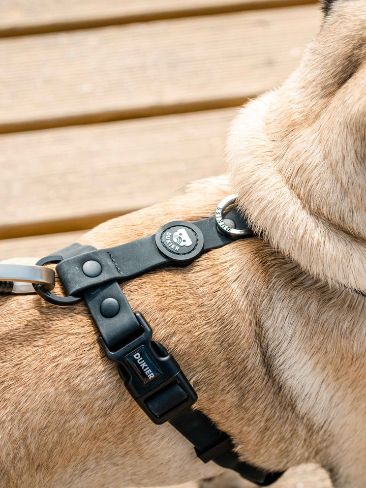 WATERPROOF DOG HARNESS BLACK