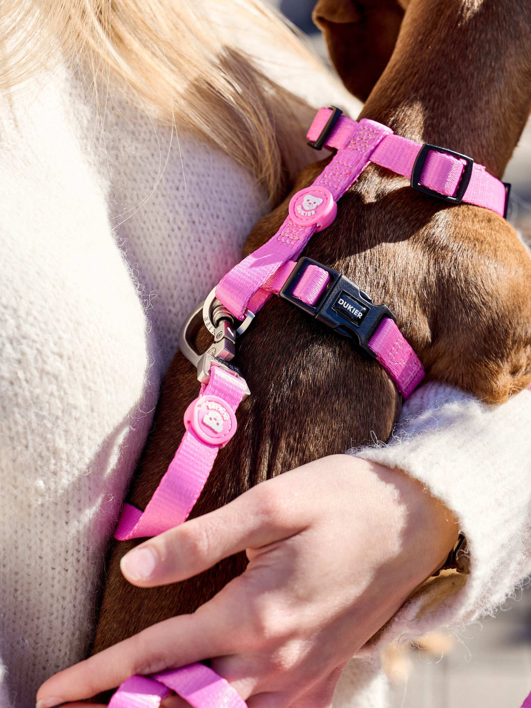 ARNÉS CLÁSICO PARA PERRO PINK