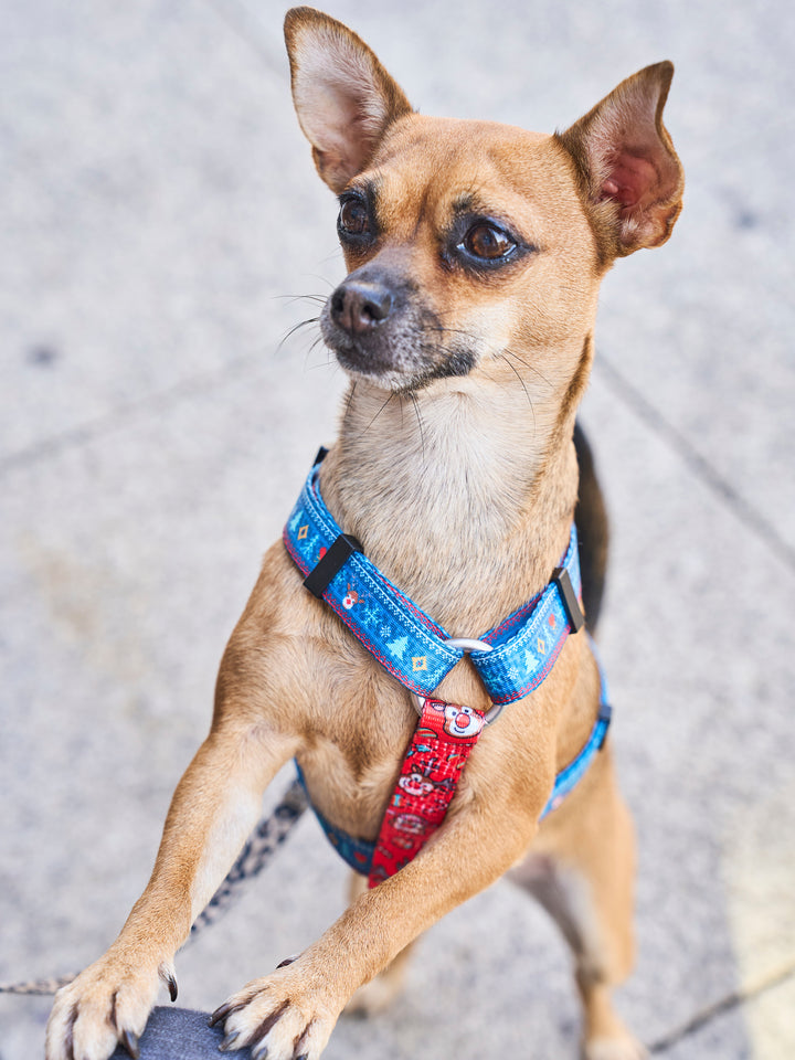 KLASSISCHES HUNDEGESCHIRR XMAS JUMPER