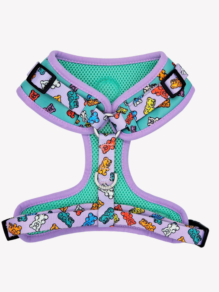 ARNES AJUSTABLE PARA PERRO GUMMY BEARS - Dukier
