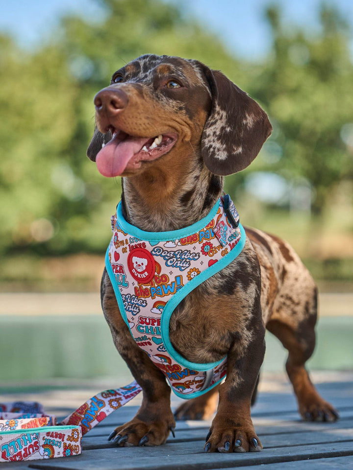 ARNÉS AJUSTABLE PARA PERRO STICKERS - Dukier