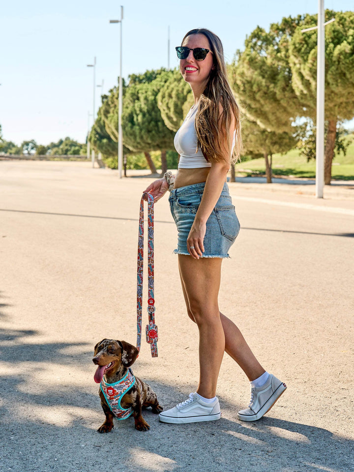 ARNÉS AJUSTABLE PARA PERRO STICKERS - Dukier