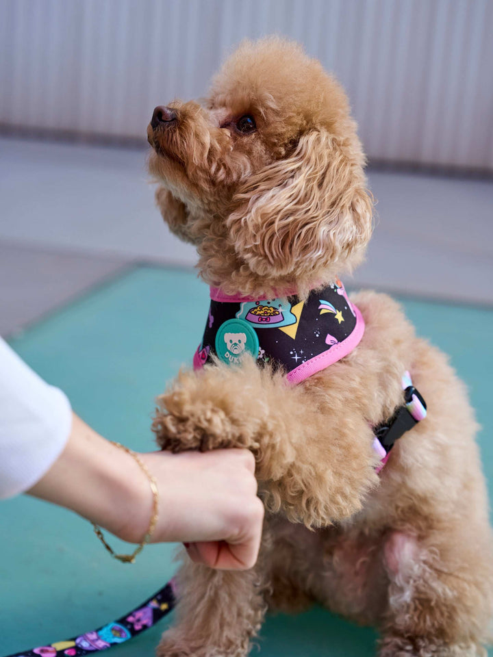 ARNÉS REVERSIBLE PARA PERRO PINK GALAXY