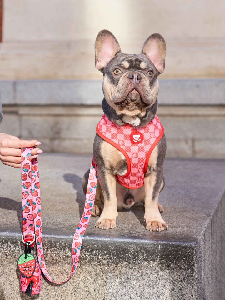 ARNÉS REVERSIBLE PARA PERRO BERRY LOVE - Dukier
