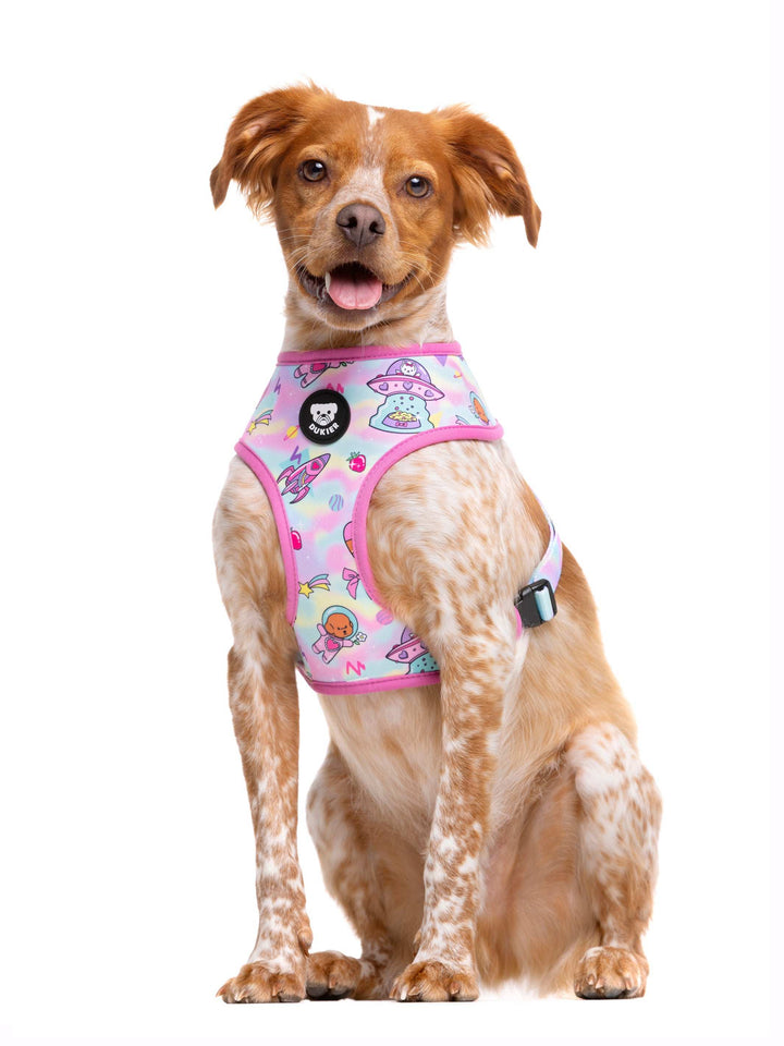 ARNÉS REVERSIBLE PARA PERRO PINK GALAXY