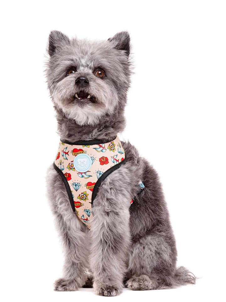 ARNÉS REVERSIBLE PARA PERRO TATTOO