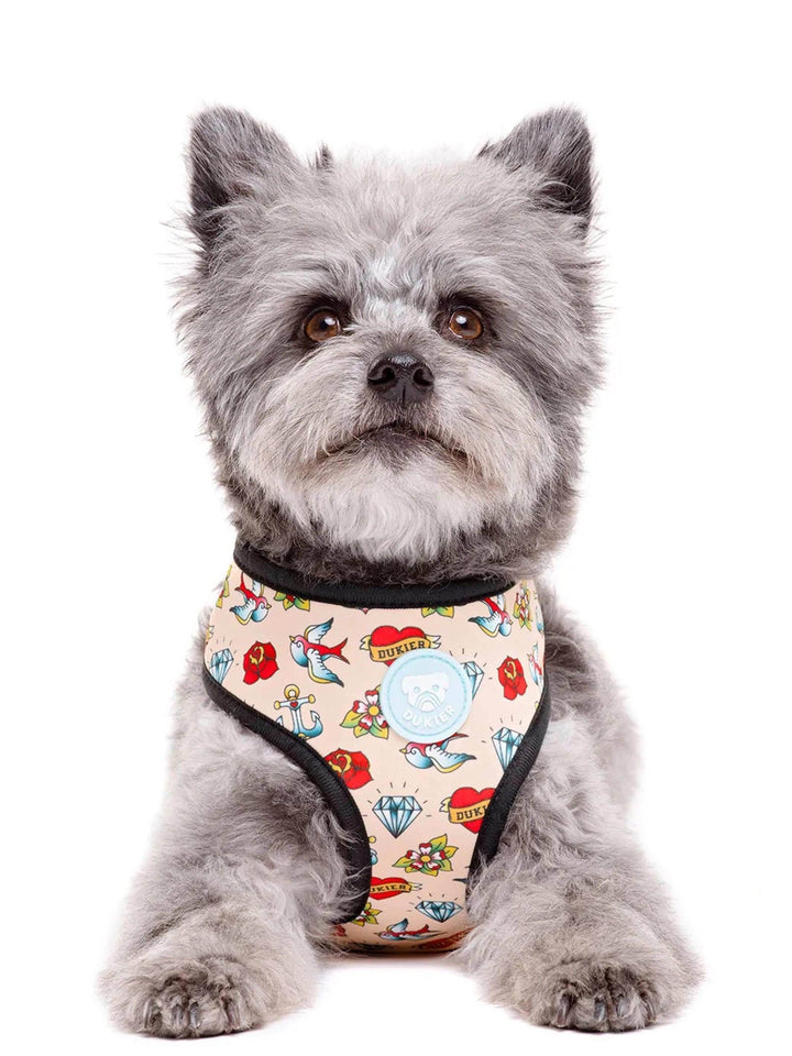 ARNÉS REVERSIBLE PARA PERRO TATTOO