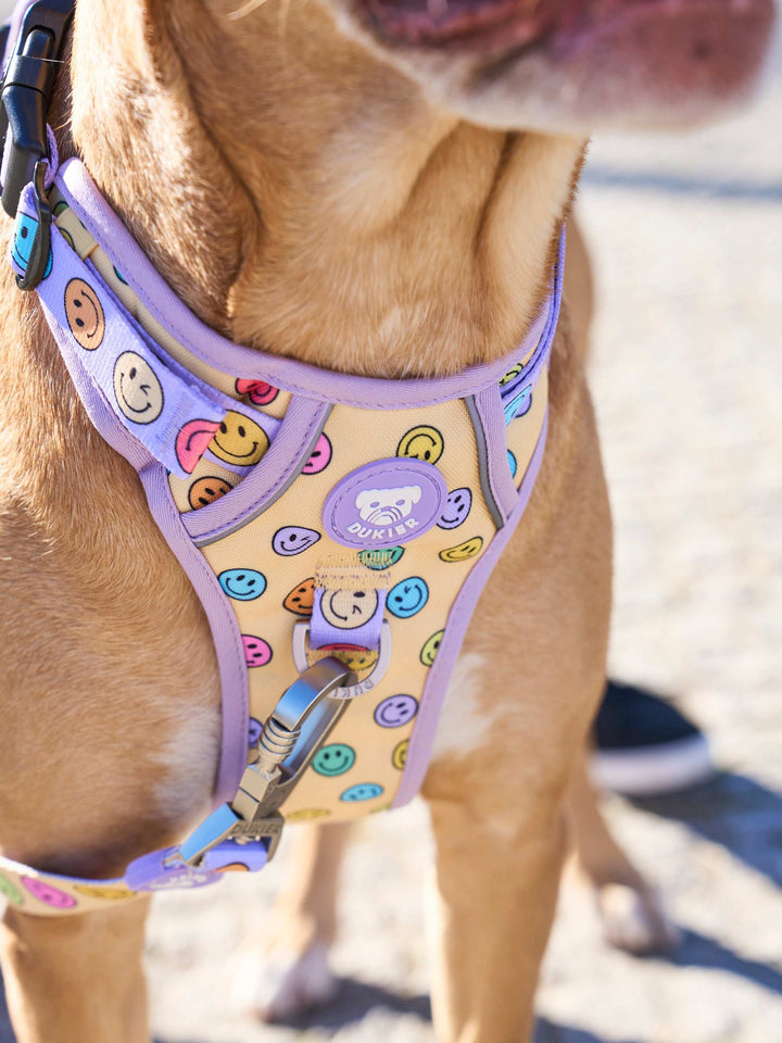 ARNÉS TRAIL PARA PERRO SMILEY