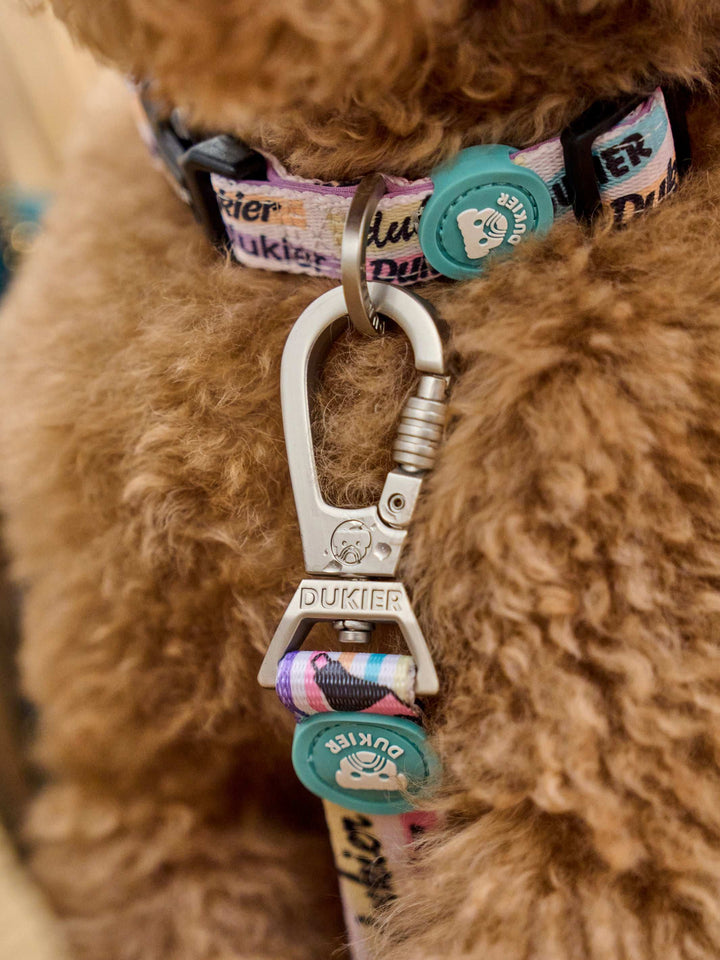COLLAR PARA PERRO COOL SCHOOL