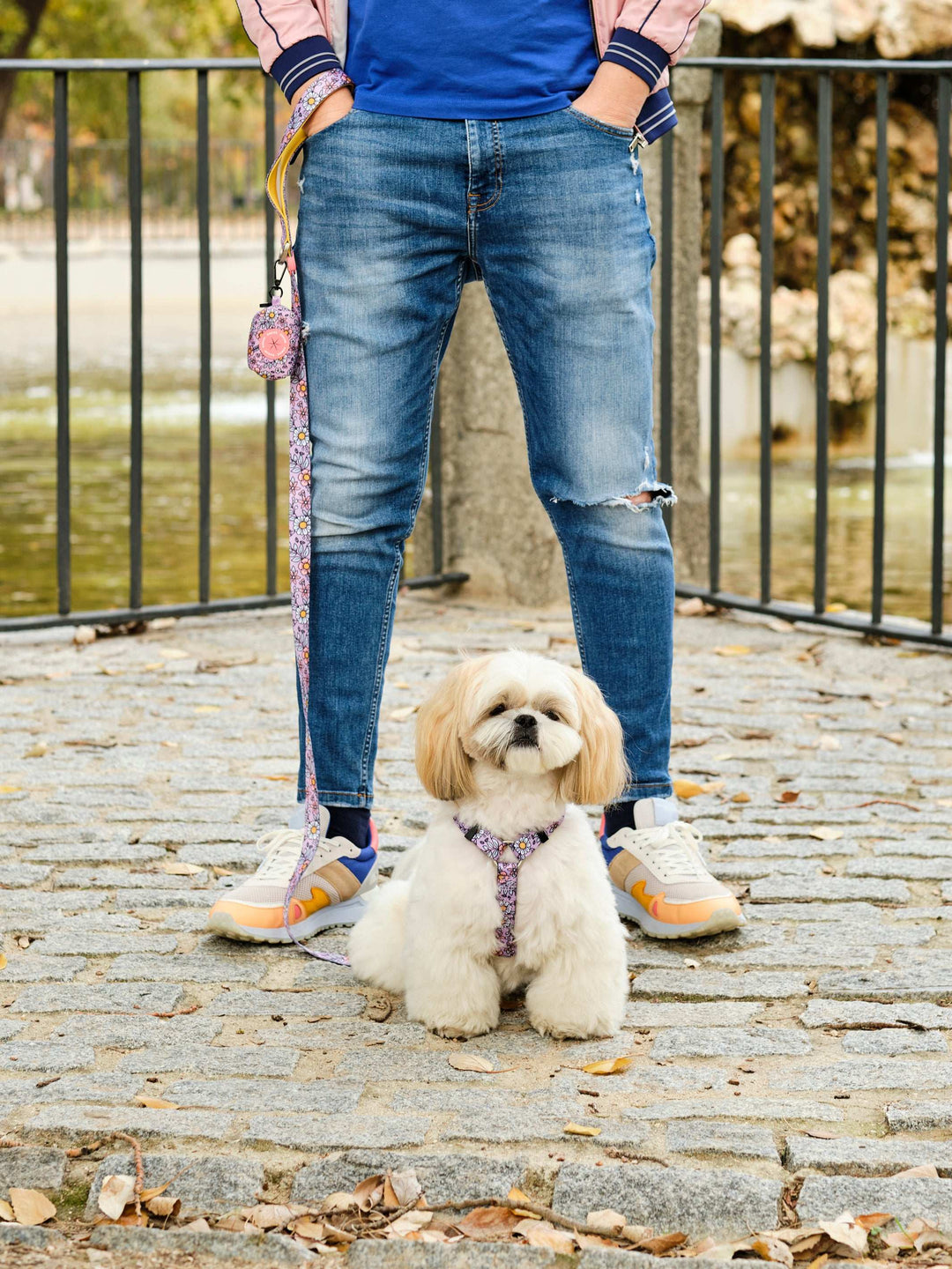 CORREA PARA PERRO FLOWER POWER