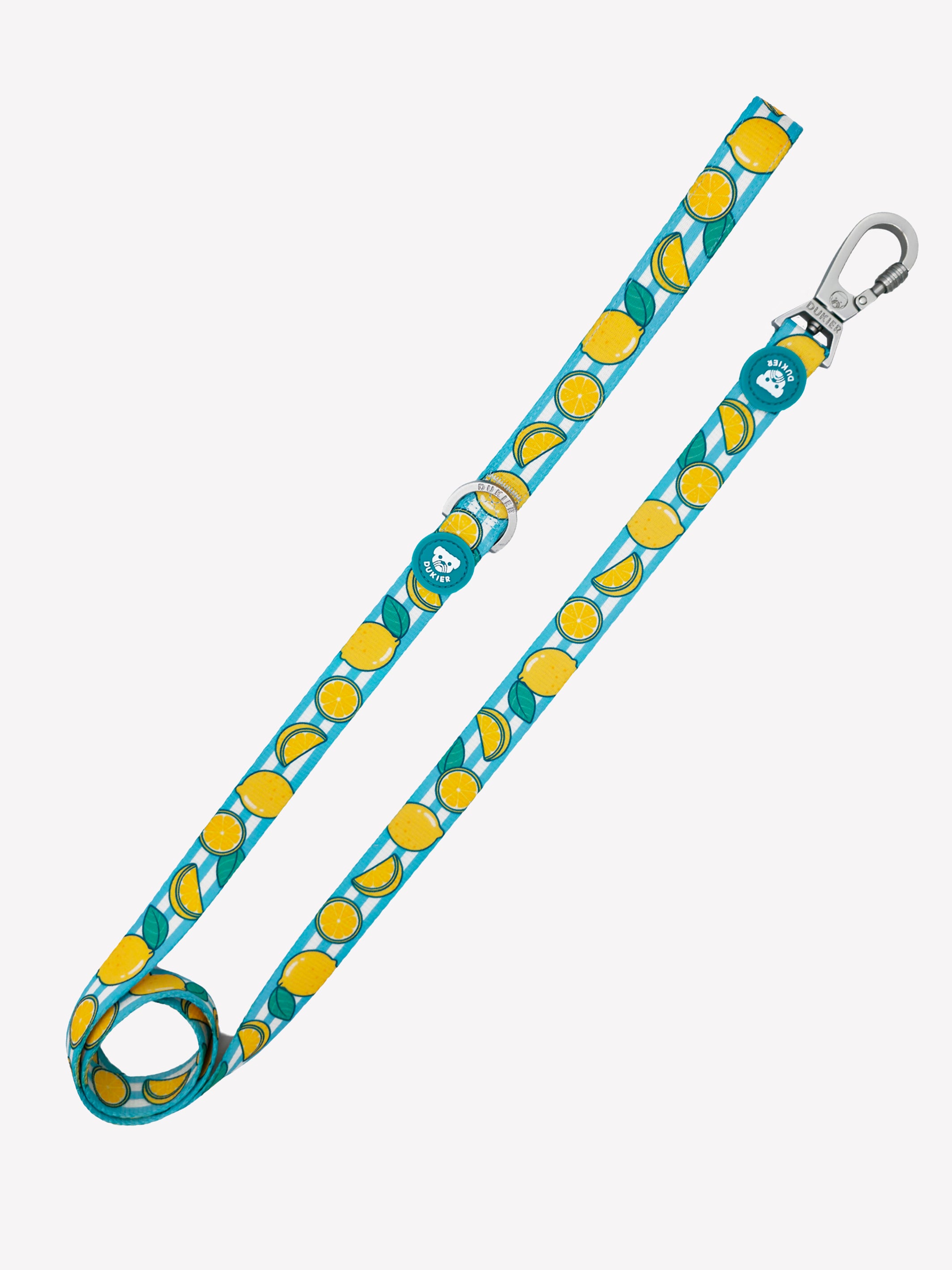 CORREA PARA PERRO LEMONS