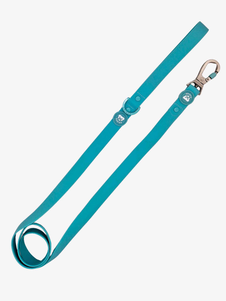 WATERPROOF LEASH FOR DOG MINT