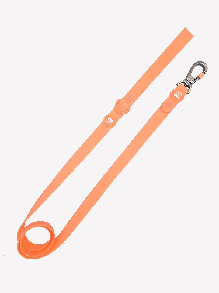 CORREA WATERPROOF PARA PERRO CORAL