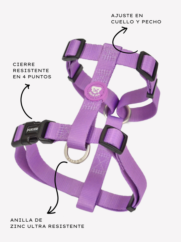 ARNES CLASICO PARA PERRO PURPLE