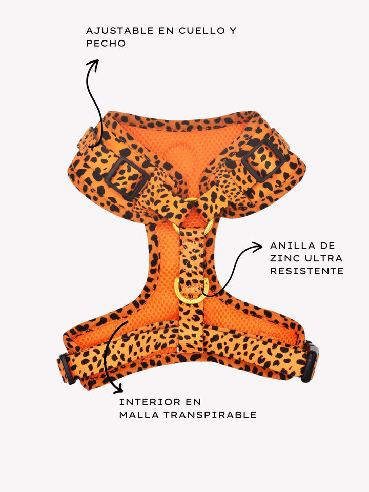 ARNÉS AJUSTABLE PARA PERRO CHEETAH GOLD - Dukier
