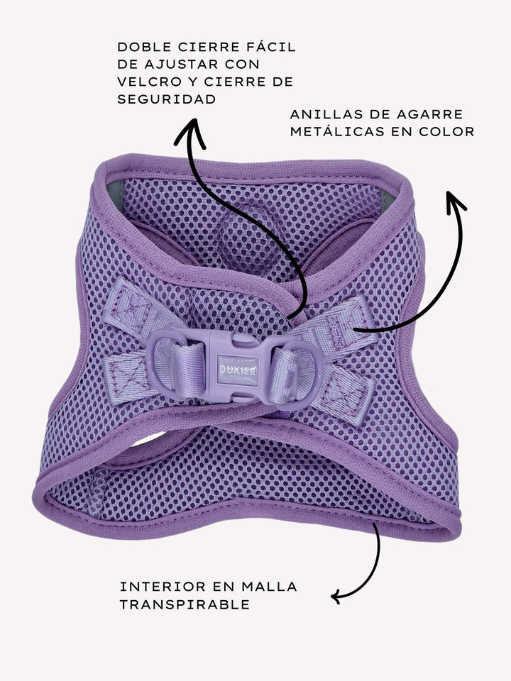 ARNÉS BODY PERRO VIOLET