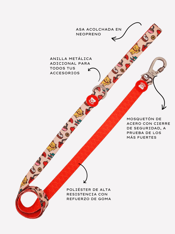 CORREA PARA PERRO ASIAN