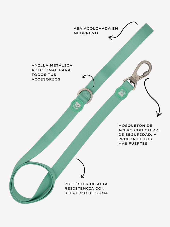 MINT LEASH FOR DOGS