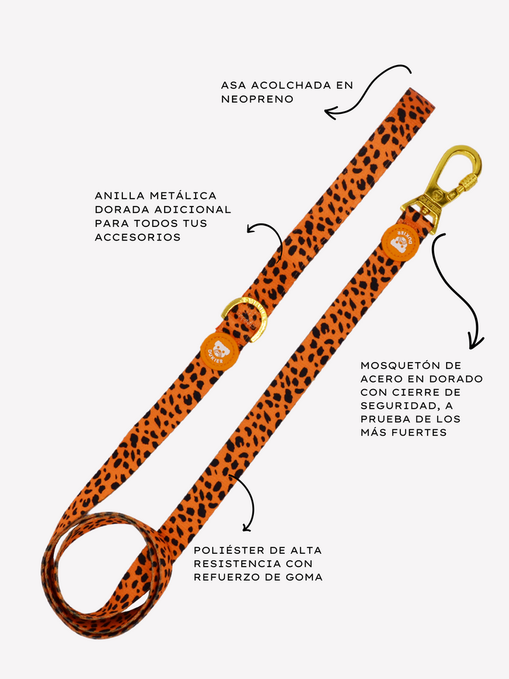 CORREA PARA PERRO CHEETAH GOLD