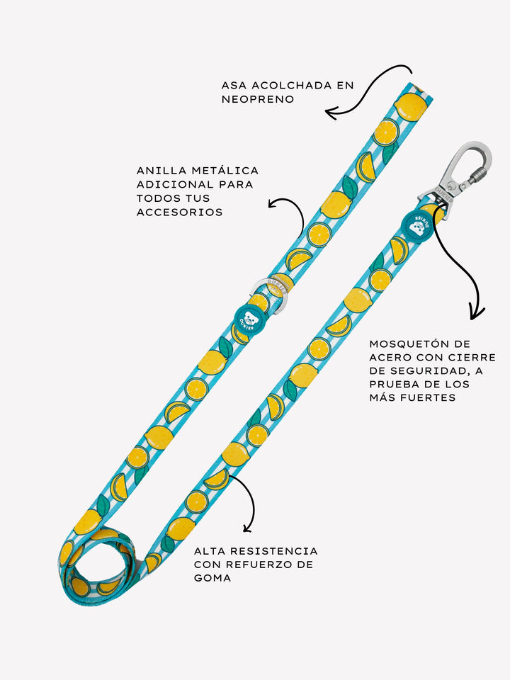 LEMONS LEASH FOR DOGS