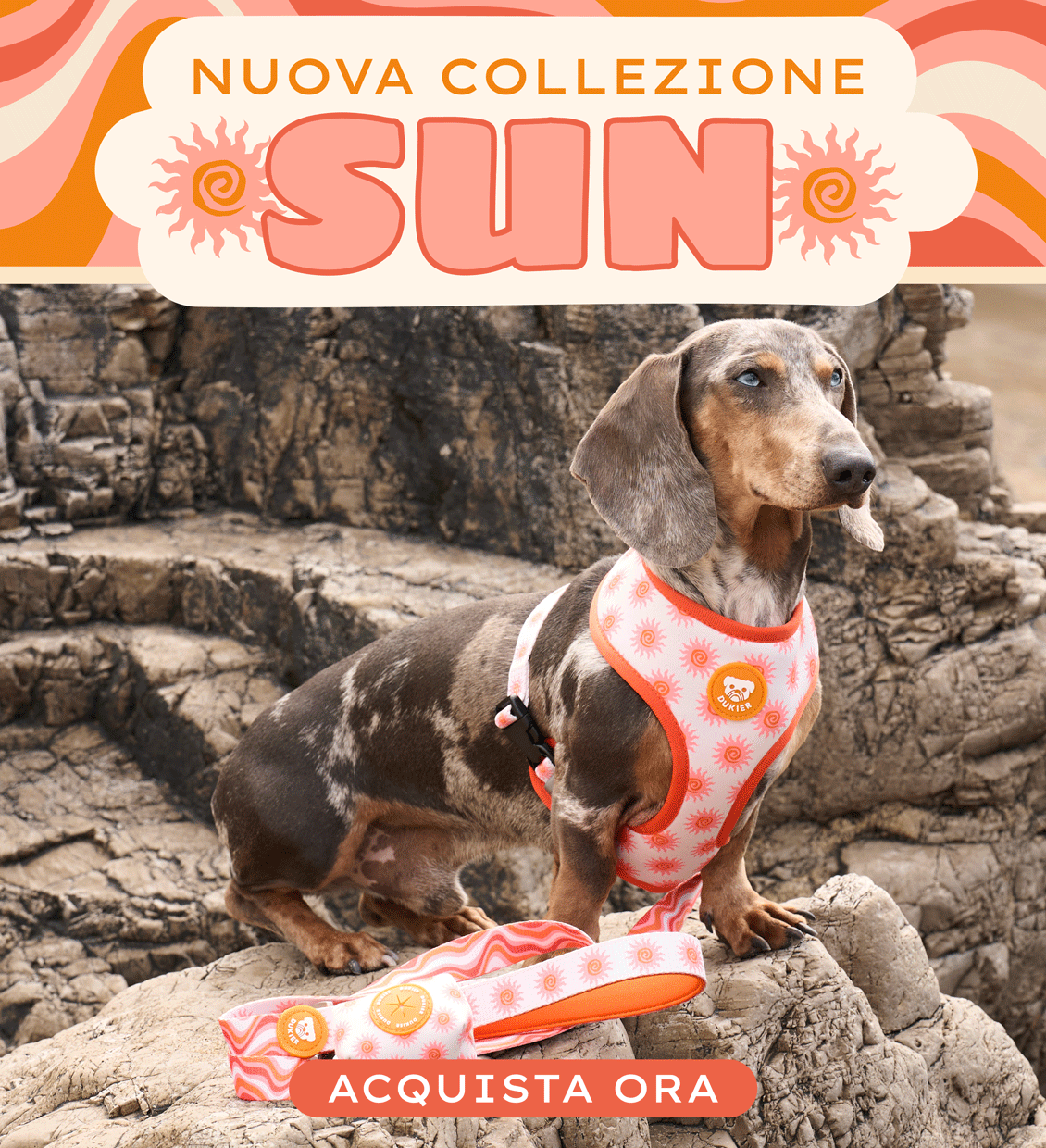 Yeray profile picture