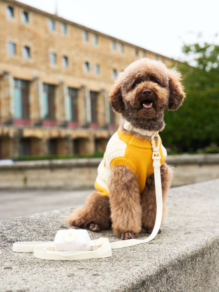 JERSEY PARA PERRO YELLOW