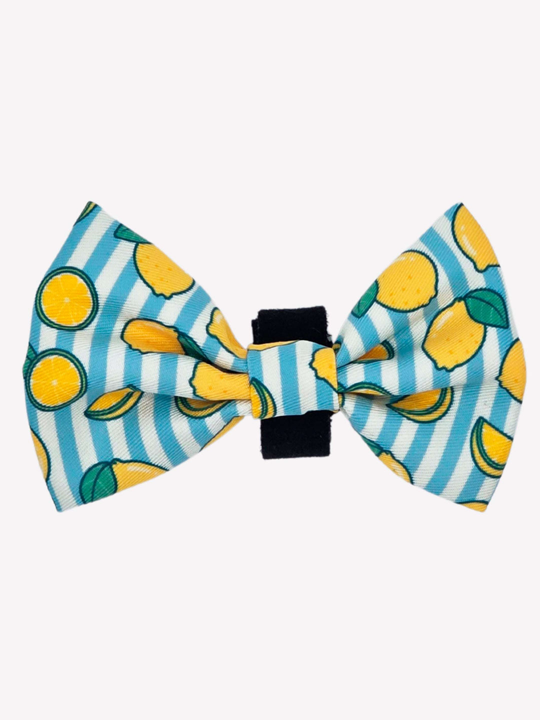 PAJARITA PARA PERRO LEMONS