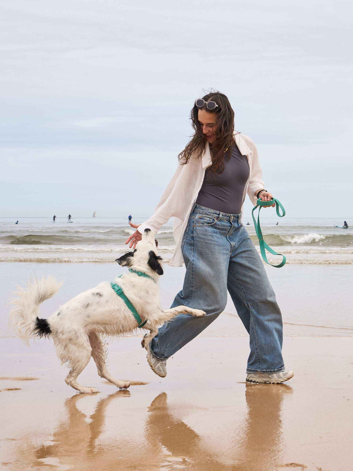 ARNES WATERPROOF PARA PERRO GREEN