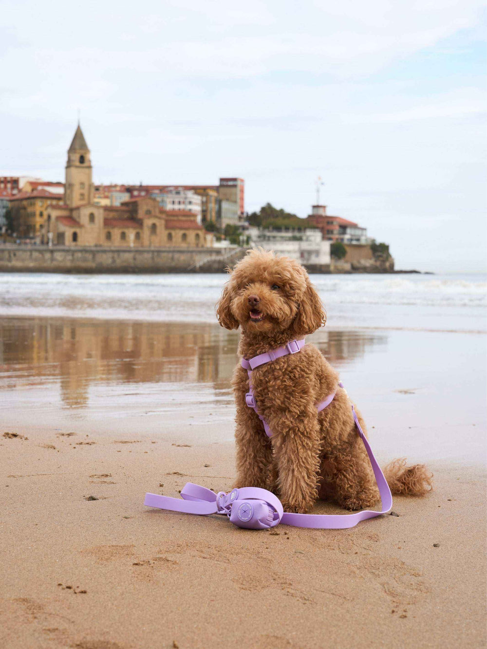 ARNES WATERPROOF PARA PERRO PURPLE