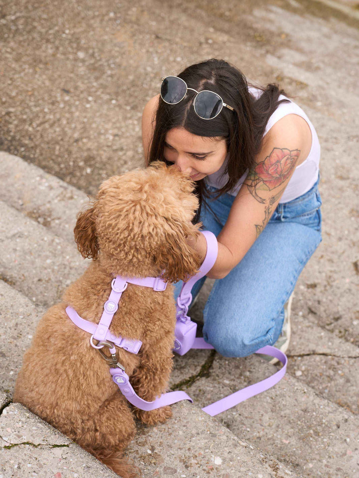 ARNES WATERPROOF PARA PERRO PURPLE