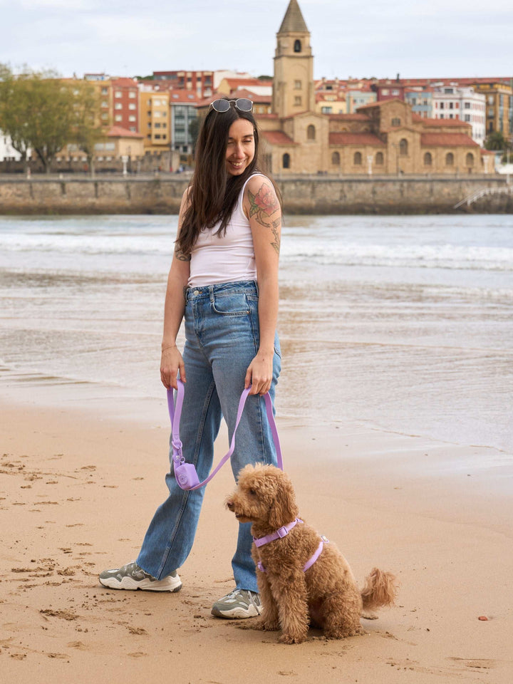 CORREA WATERPROOF PARA PERRO PURPLE