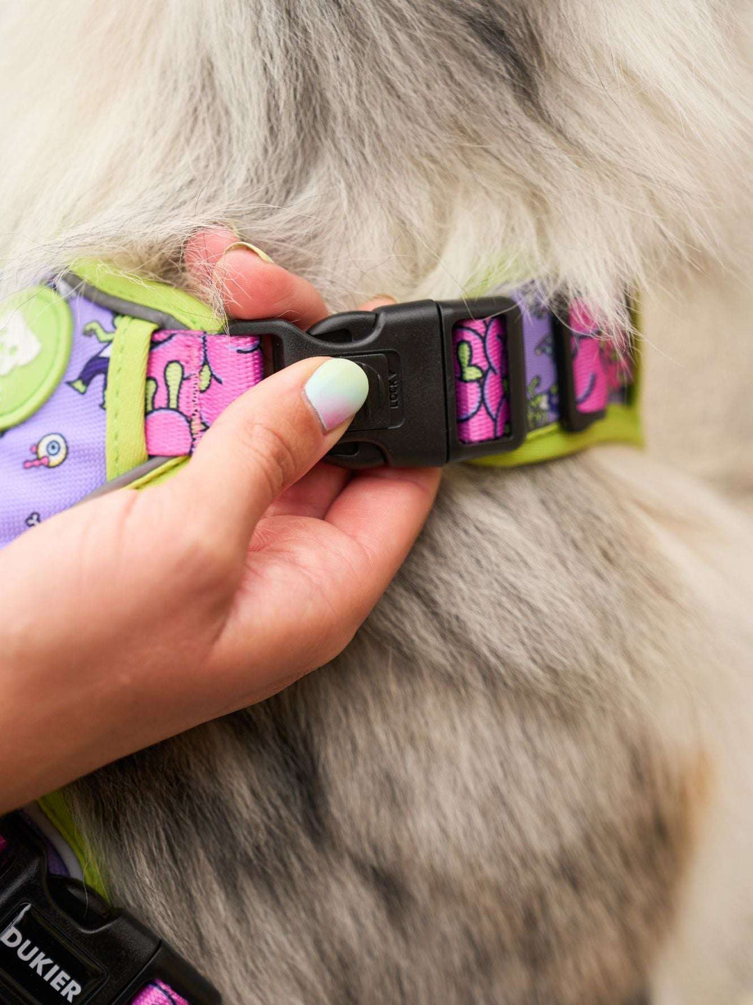 ARNES TRAIL PARA PERRO ZOMBIE