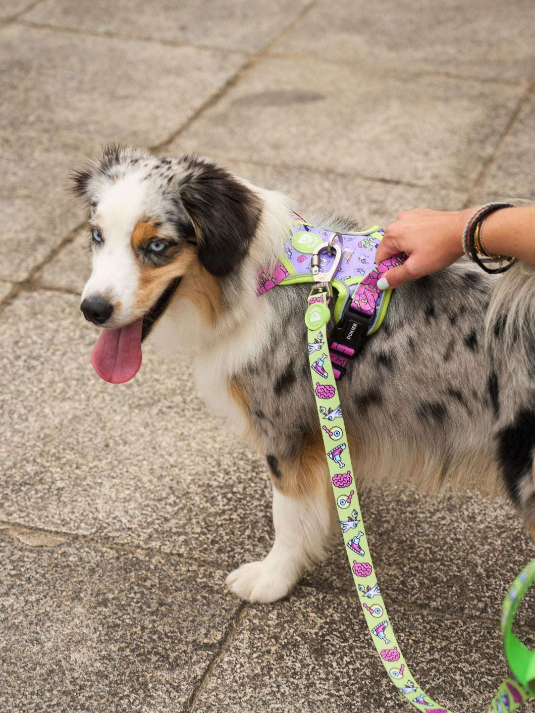 ARNES TRAIL PARA PERRO ZOMBIE