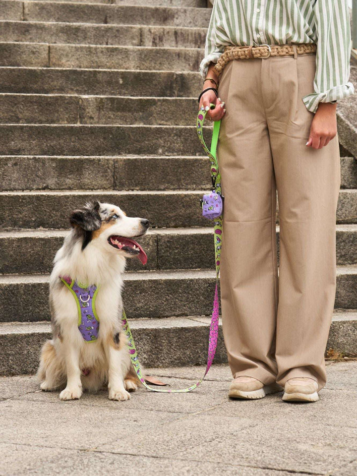 ARNES TRAIL PARA PERRO ZOMBIE