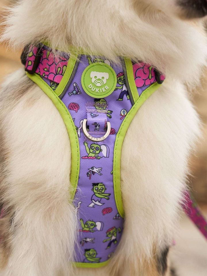 ARNES TRAIL PARA PERRO ZOMBIE