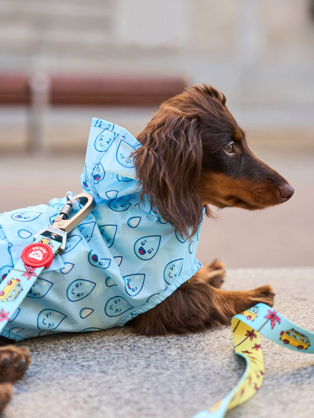 CHUBASQUERO PARA PERRO RAINDROPS