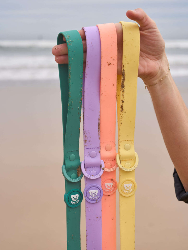 CORREA WATERPROOF PARA PERRO PURPLE