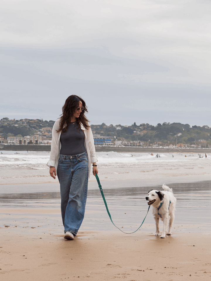 CORREA WATERPROOF PARA PERRO GREEN