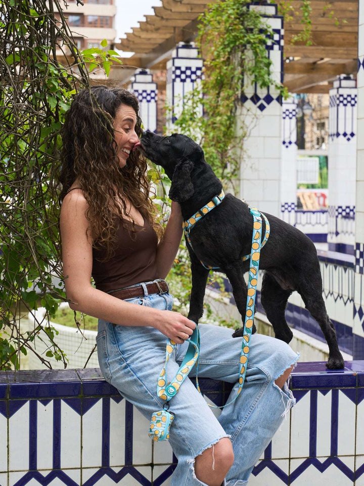 CORREA PARA PERRO LEMONS