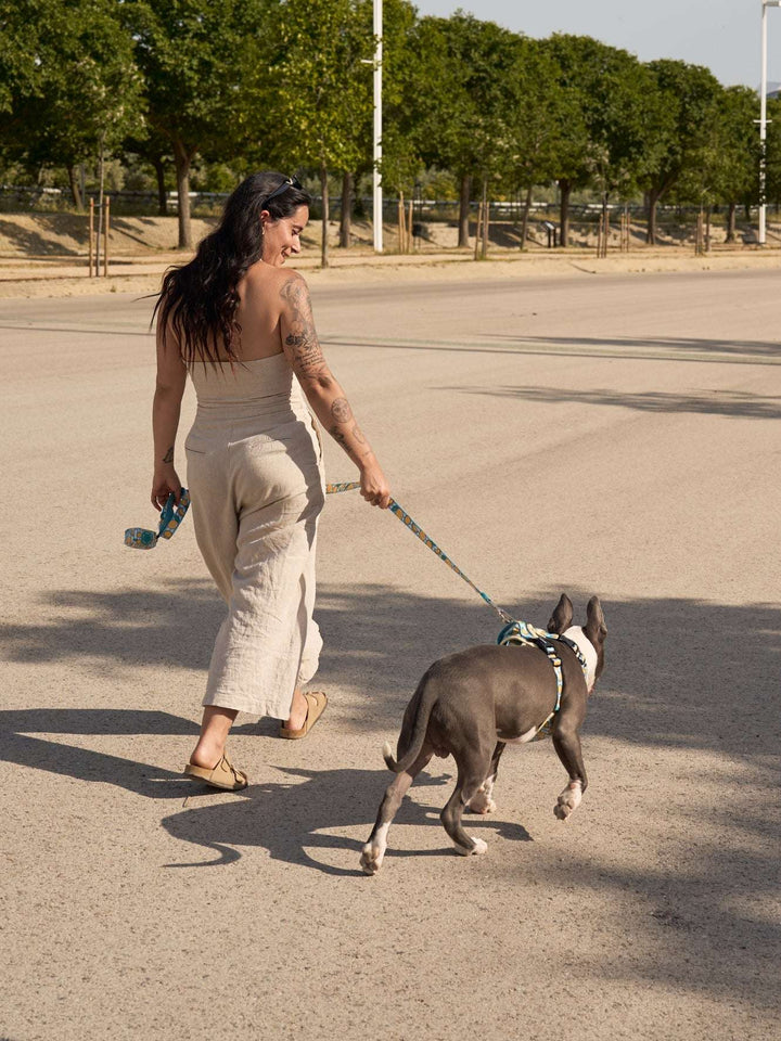 CORREA PARA PERRO LEMONS