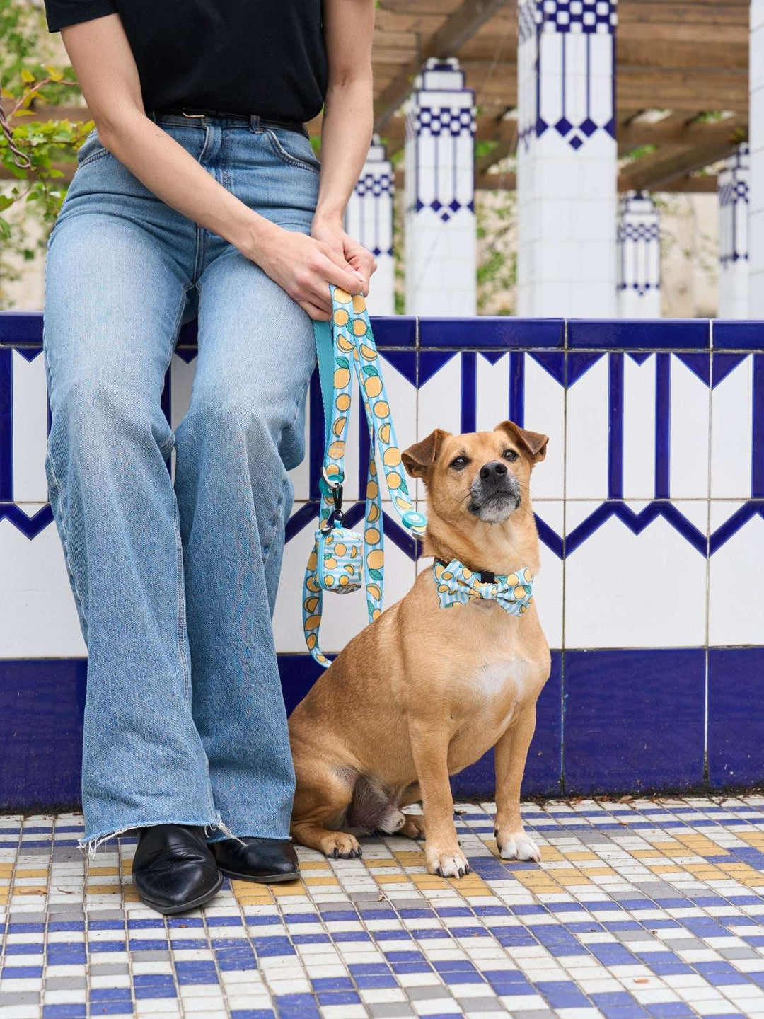 PAJARITA PARA PERRO LEMONS