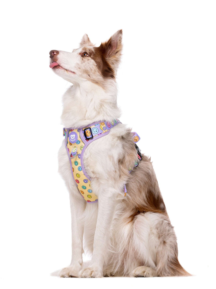 ARNÉS TRAIL PARA PERRO SMILEY