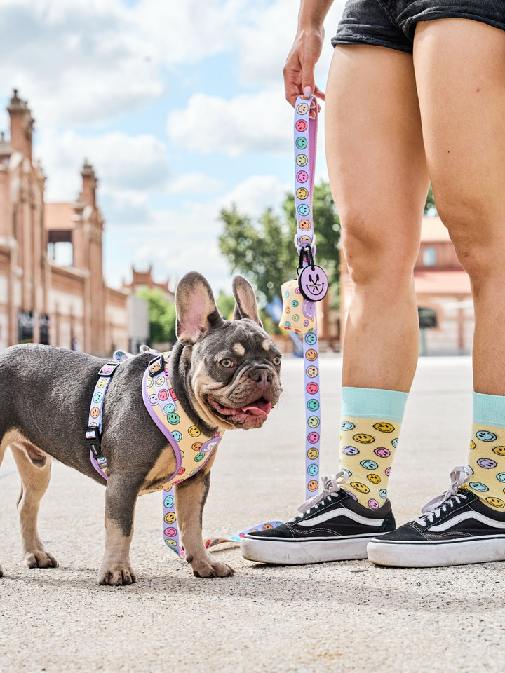 SMILEY ADJUSTABLE DOG HARNESS