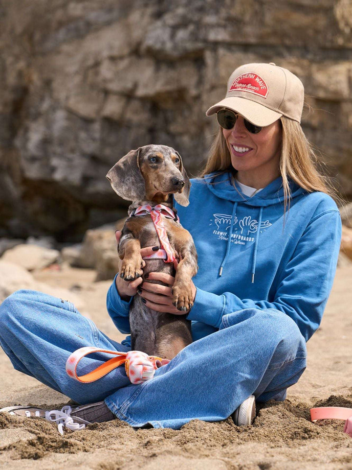 ARNÉS CLÁSICO PARA PERRO SUN