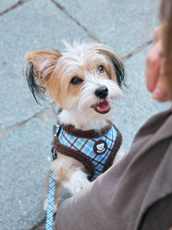 ARNES AJUSTABLE PARA PERRO TARTÁN BLUE MOCCA - Dukier