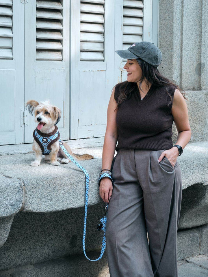 ARNES AJUSTABLE PARA PERRO TARTÁN BLUE MOCCA - Dukier