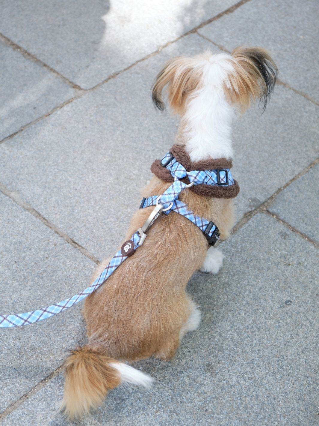 ARNES AJUSTABLE PARA PERRO TARTÁN BLUE MOCCA - Dukier