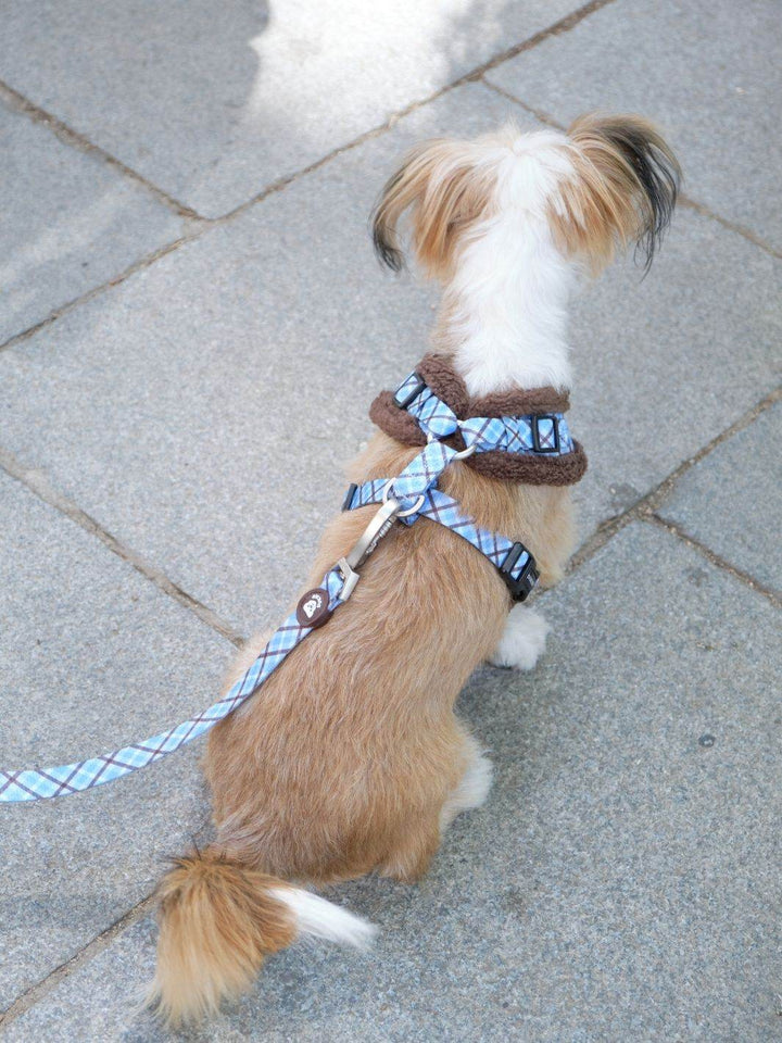 ARNES AJUSTABLE PARA PERRO TARTÁN BLUE MOCCA - Dukier